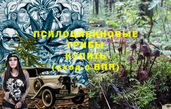 прущий лед Бронницы