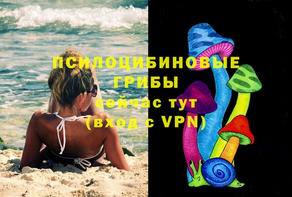 герыч Бородино