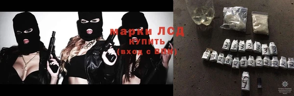 spice Богородицк