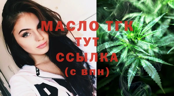 spice Богородицк